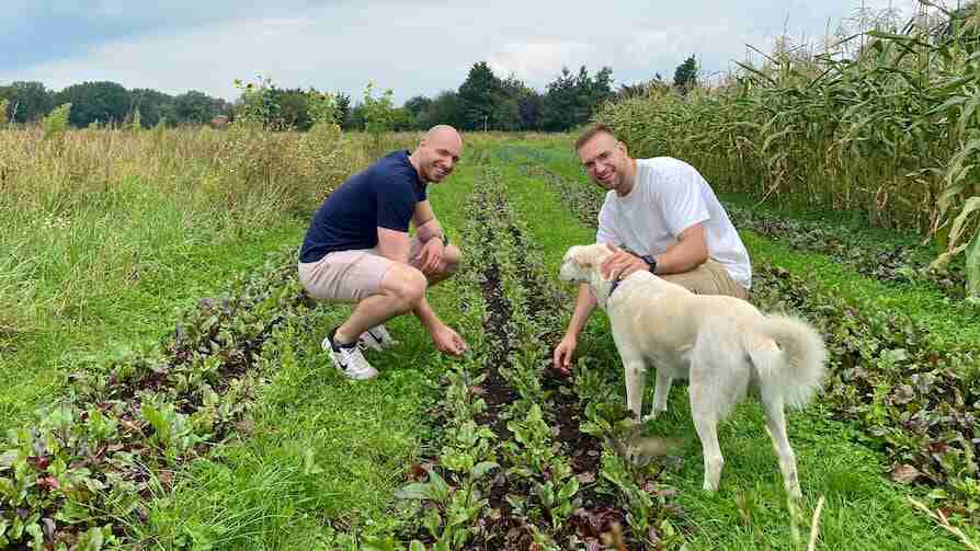 Marco und Maik Möller hocken über einem Beet und streicheln einen Hund.