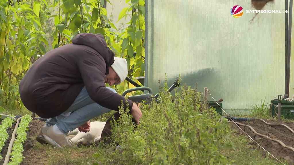 Der SAT1-Bericht über die Möllerbrüder. Man sieht Marco Möller, wie er eine Katze streichelt.