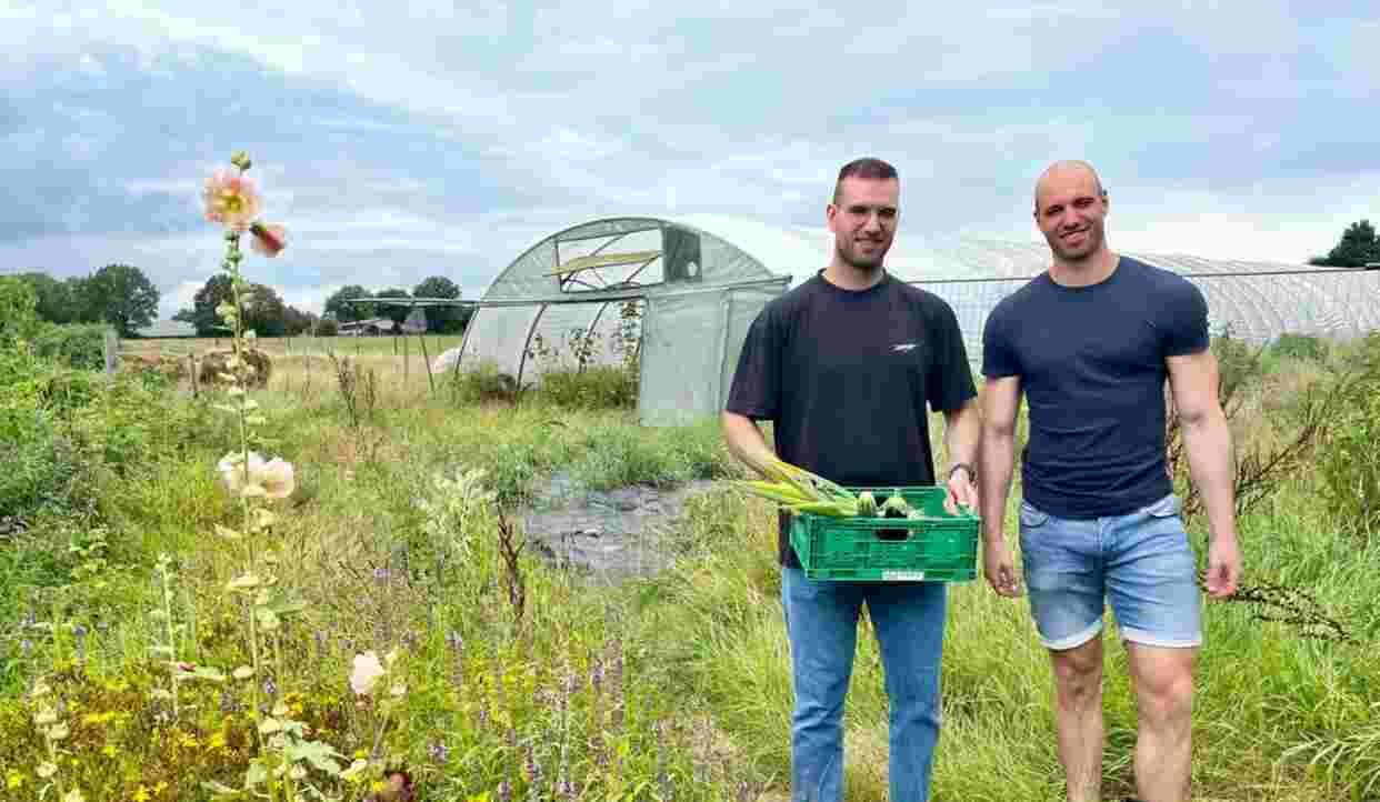 Marco und Maik Möller hocken im Folientunnel zwischen  bio-veganem Gemüse. Vor Ihnen steht ein Schild mit dem Logo von Möllers Morgen.