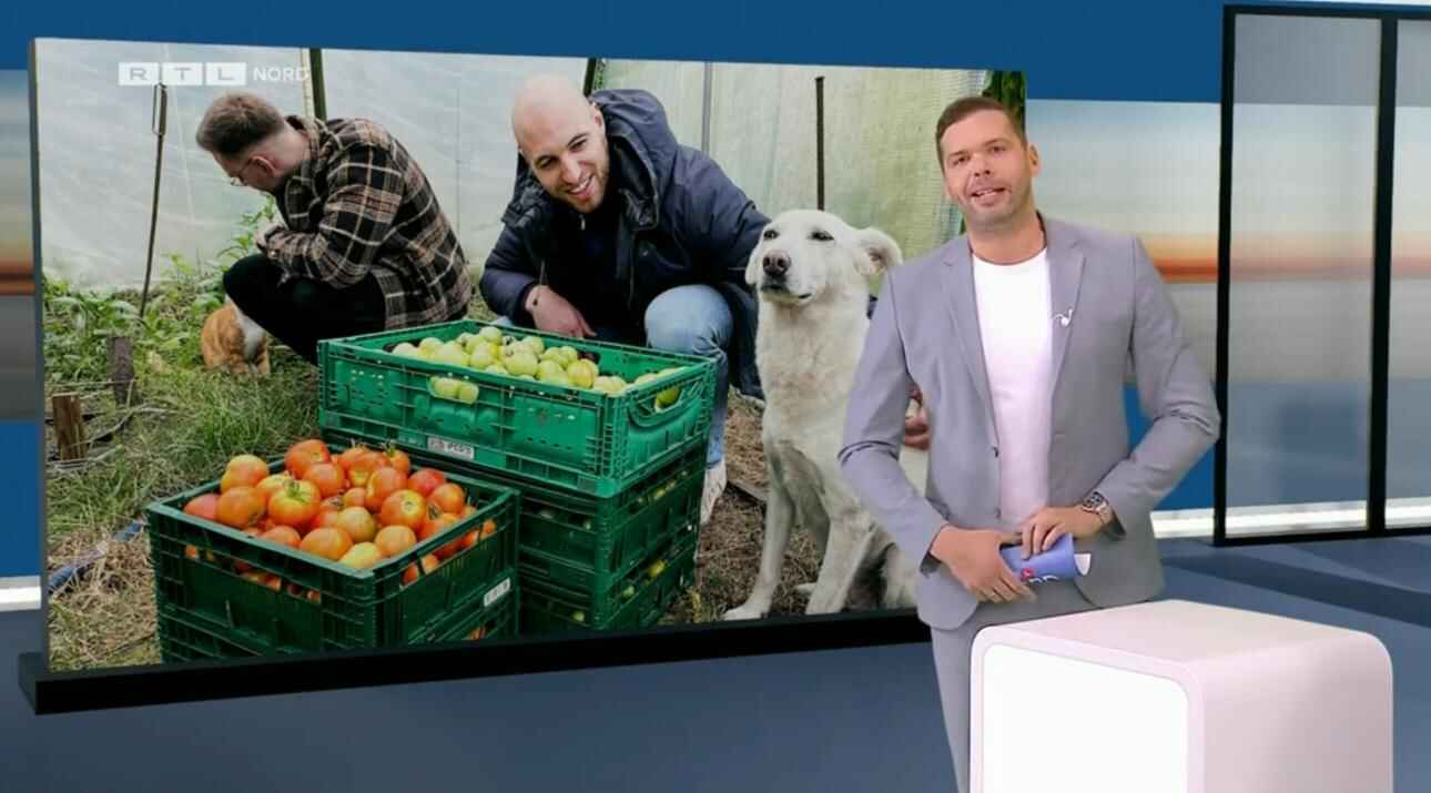 Ein Moderator von RTL kündigt den Beitrag über die Möllerbrüder an.