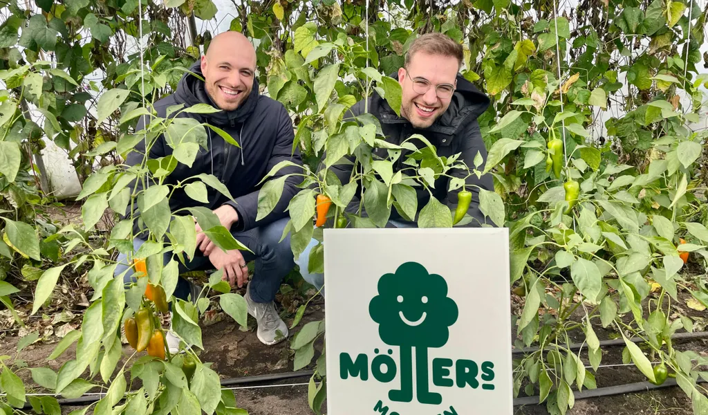 Marco und Maik Möller hocken im Folientunnel zwischen  bio-veganem Gemüse. Vor Ihnen steht ein Schild mit dem Logo von Möllers Morgen.