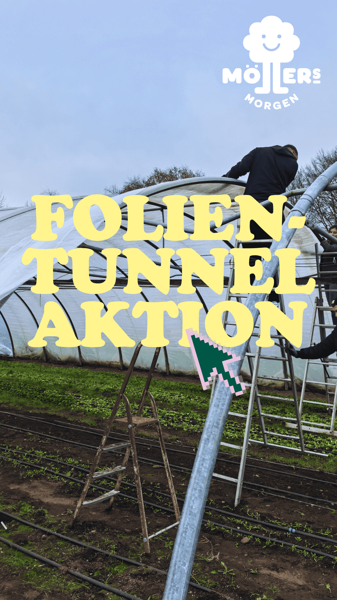 Mehrere Personen arbeiten an einem Folientunnel auf einem Feld. Eine Person steht auf einer Leiter und befestigt die Folie am Gestänge des Tunnels. Im Vordergrund ist ein bepflanztes Beet mit Bewässerungsleitungen zu sehen. Oben rechts befindet sich das Logo von „Möllers Morgen“, und in der Bildmitte steht in gelber Schrift „FOLIEN-TUNNEL AKTION“ mit einem grünen Mauszeiger-Icon.