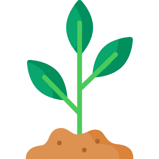 Eine Illustration einer kleinen Pflanze mit drei grünen Blättern, die aus einem braunen Erdhaufen wächst.