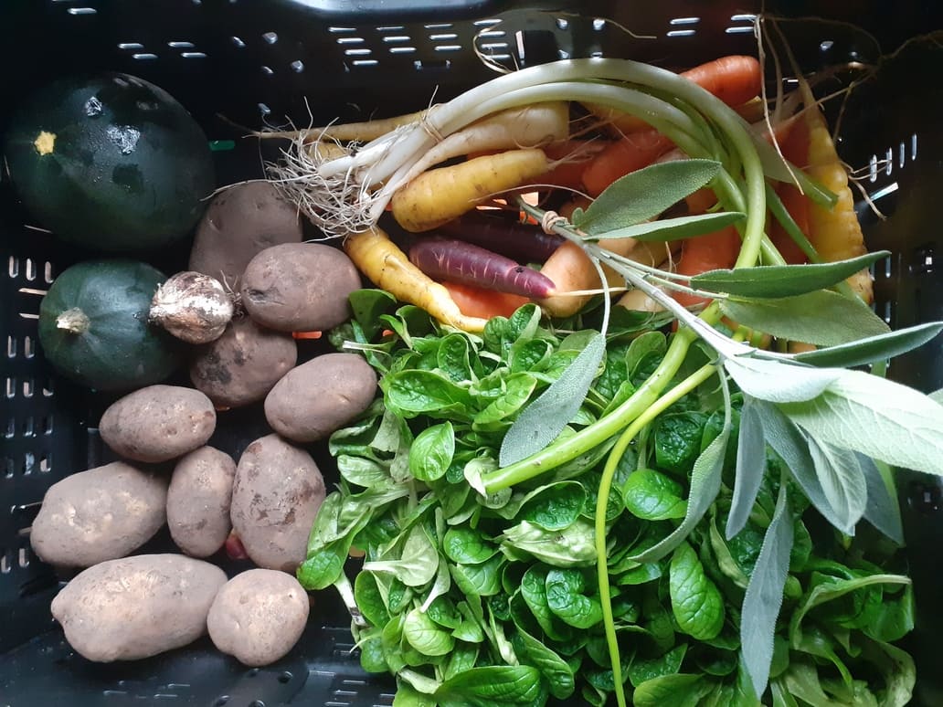 Eine Kiste mit verschiedenen frischen Gemüsesorten, darunter Kartoffeln, Karotten, Zucchini, Spinat und Kräuter.