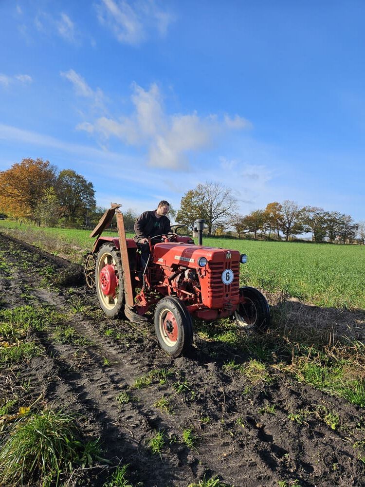 Ein Mann fährt einen roten Traktor auf einem Feld, mit grünen Feldern und Bäumen im Hintergrund unter einem klaren blauen Himmel.