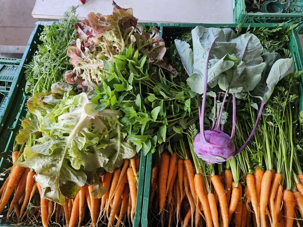 Eine Kiste mit frischem Gemüse, darunter Karotten, Salat, Kohl und Kräuter