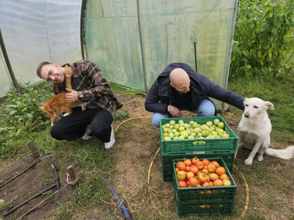 Zwei Personen sitzen im Freien vor einem Gewächshaus. Eine Person hält eine orangefarbene Katze, während die andere Person eine Kiste mit grünen Äpfeln und eine weitere Kiste mit Tomaten neben sich hat. Ein weißer Hund liegt neben der Person mit den Äpfeln.