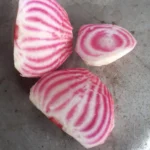 Drei Scheiben einer bunten Rübe mit pink-weißen Ringen.