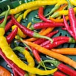 Verschiedene Chilis.
