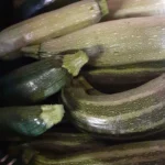 Mehrere frische, grüne Zucchini liegen übereinander, mit sichtbaren Stielen und glänzender Oberfläche.