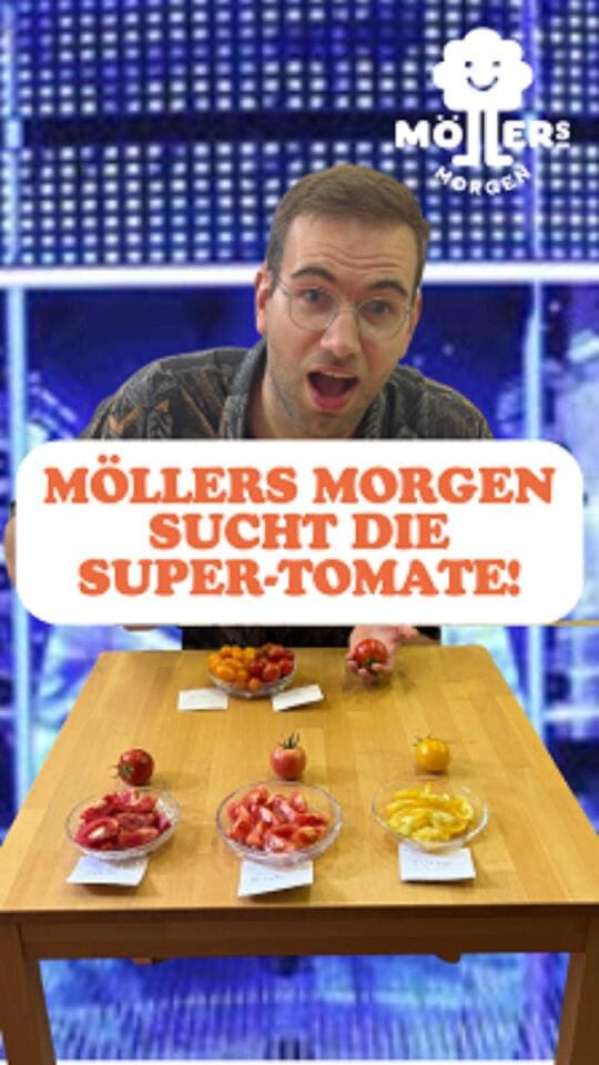 Ein überrascht wirkender Mann mit Brille sitzt vor einem Tisch, auf dem verschiedene Tomatensorten in Schälchen präsentiert werden. Über dem Bild steht in großen, orangefarbenen Buchstaben: MÖLLERS MORGEN SUCHT DIE SUPER-TOMATE! Im Hintergrund ist ein blau beleuchtetes Studio zu sehen, und das Logo von Möllers Morgen ist in der oberen rechten Ecke sichtbar. Die Szene wirkt unterhaltsam und informativ.