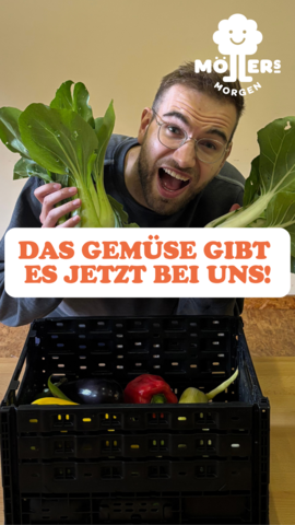 Ein lächelnder Mann mit Brille hält zwei frische Pak-Choi-Köpfe in den Händen und steht hinter einer Kiste voller buntem Gemüse, darunter Paprika, Auberginen, Zucchini und Paprika. Im Vordergrund steht in großen, orangefarbenen Buchstaben: **"DAS GEMÜSE GIBT ES JETZT BEI UNS!"** Das Logo von **Möllers Morgen** ist in der oberen rechten Ecke sichtbar. Die Szene wirkt fröhlich und einladend, als würde er das frische Gemüse direkt anbieten.
