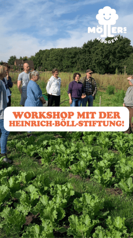 Eine Gruppe von Menschen steht auf einem Feld mit grünen Kohlpflanzen und nimmt an einem Workshop teil. Im Vordergrund steht in großen, orangefarbenen Buchstaben: **"WORKSHOP MIT DER HEINRICH-BÖLL-STIFTUNG!"** Das Logo von Möllers Morgen ist in der oberen rechten Ecke sichtbar. Die Szene wirkt informativ und engagiert, als würde eine praktische Schulung oder ein Austausch über nachhaltige Landwirtschaft stattfinden.