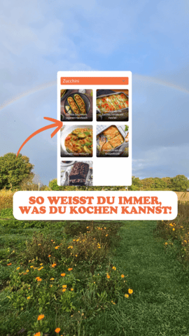 Eine Collage mit vier Zucchini-Rezepten vor einer Landschaft mit Wiese, Blumen und einem Regenbogen im Hintergrund. Die Rezepte sind: 1. **Gefüllte Zucchini mit veganem Hackfleisch** 2. **Gemüsegratin mit Zucchini, Tomate und Fenchel** 3. **Tomaten-Zucchini-Curry** 4. **Zucchini-Gratin mit Knusperkruste** Im Vordergrund steht in großen, orangefarbenen Buchstaben: **SO WEISST DU IMMER, WAS DU KOCHEN KANNST!** Die Szene wirkt inspirierend und einladend, um direkt mit dem Kochen zu beginnen.