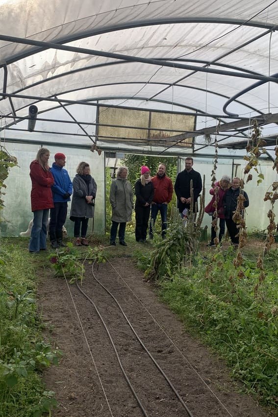 Das Bild zeigt eine Gruppe von Menschen, die sich in einem Gewächshaus versammelt haben. Die Gruppe steht auf einem Weg zwischen zwei Beeten mit Pflanzenresten, während sie sich unterhalten oder einer Führung zuhören. Das Gewächshaus ist mit Folie überdacht und bietet Schutz für den Anbau von Gemüse oder anderen Pflanzen. Die Szene wirkt wie eine Besichtigung oder ein Workshop im Rahmen von Bildungsarbeit oder Gemeinschaftsprojekten, möglicherweise von Möllers Morgen organisiert.