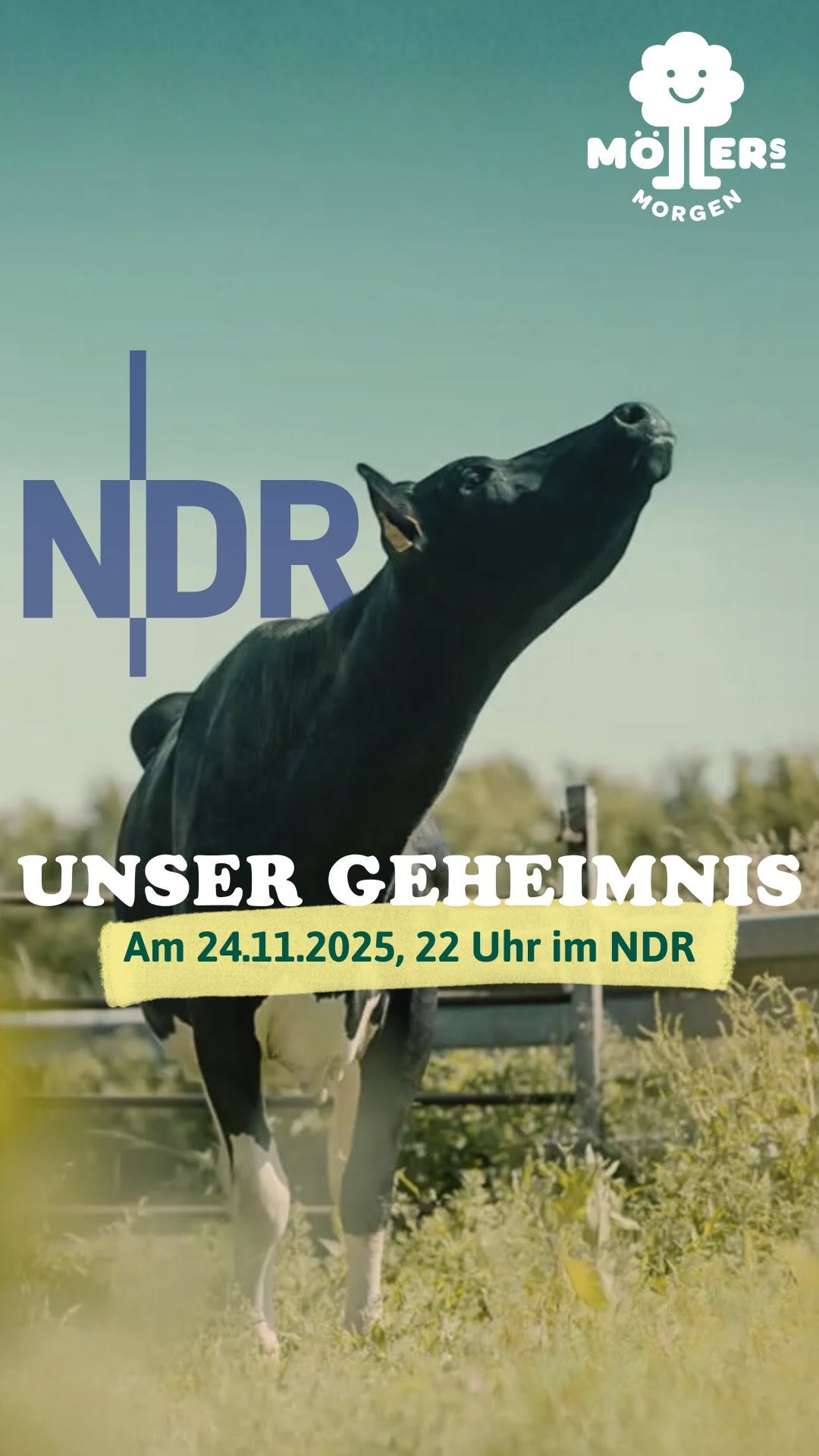 Das Bild zeigt eine Kuh, die auf einer Wiese steht und in den Himmel brüllt. Über dem Bild steht in großen blauen Buchstaben das Logo des **NDR**. Darunter ist der Text: **"UNSER GEHEIMNIS"** und **"Am 24.11.2025, 22 Uhr im NDR"** Das Logo von **Möllers Morgen** ist in der oberen rechten Ecke zu sehen. Die Szene wirkt geheimnisvoll und neugierig machend, als würde es eine besondere Sendung oder einen Beitrag über Möllers Morgen im NDR geben. Der Termin ist auf den **24. November 2025 um 22 Uhr** festgelegt.