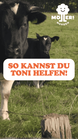 Zwei Kühe, eine erwachsene und ein Kalb, auf einer grünen Wiese mit dem Text So kannst du Toni helfen! und dem Logo von Möllers Morgen.
