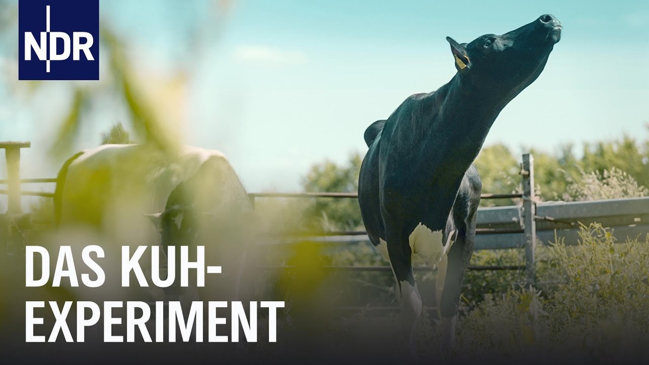 Marco und Maik Möller hocken im Folientunnel zwischen  bio-veganem Gemüse. Vor Ihnen steht ein Schild mit dem Logo von Möllers Morgen.
