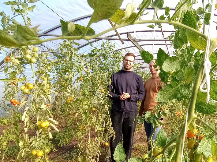 Marco und Maik Möller hocken im Folientunnel zwischen  bio-veganem Gemüse. Vor Ihnen steht ein Schild mit dem Logo von Möllers Morgen.