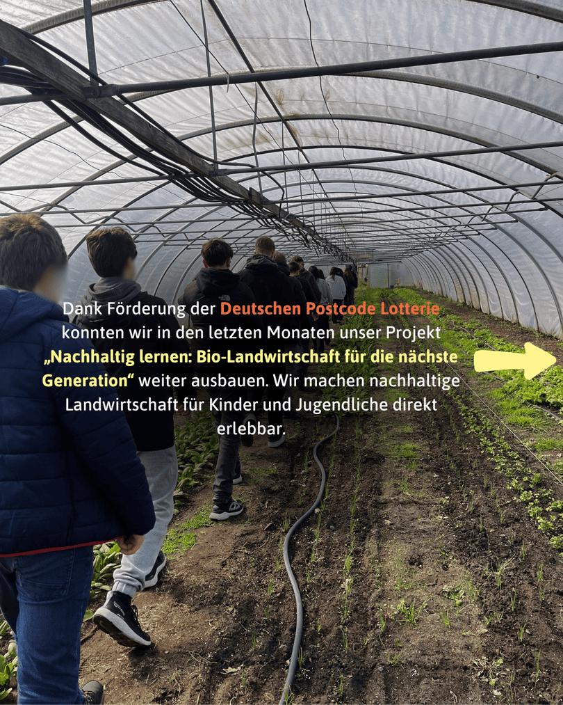 Rückenansicht einer Gruppe von Schülern in Winterjacken, die hintereinander durch einen langen, hellen Folientunnel (Gewächshaus) gehen. Links und rechts wachsen junge grüne Pflanzenreihen in der dunklen Erde. Ein Bewässerungsschlauch liegt auf dem Boden. Ein gelber Pfeil zeigt nach rechts.