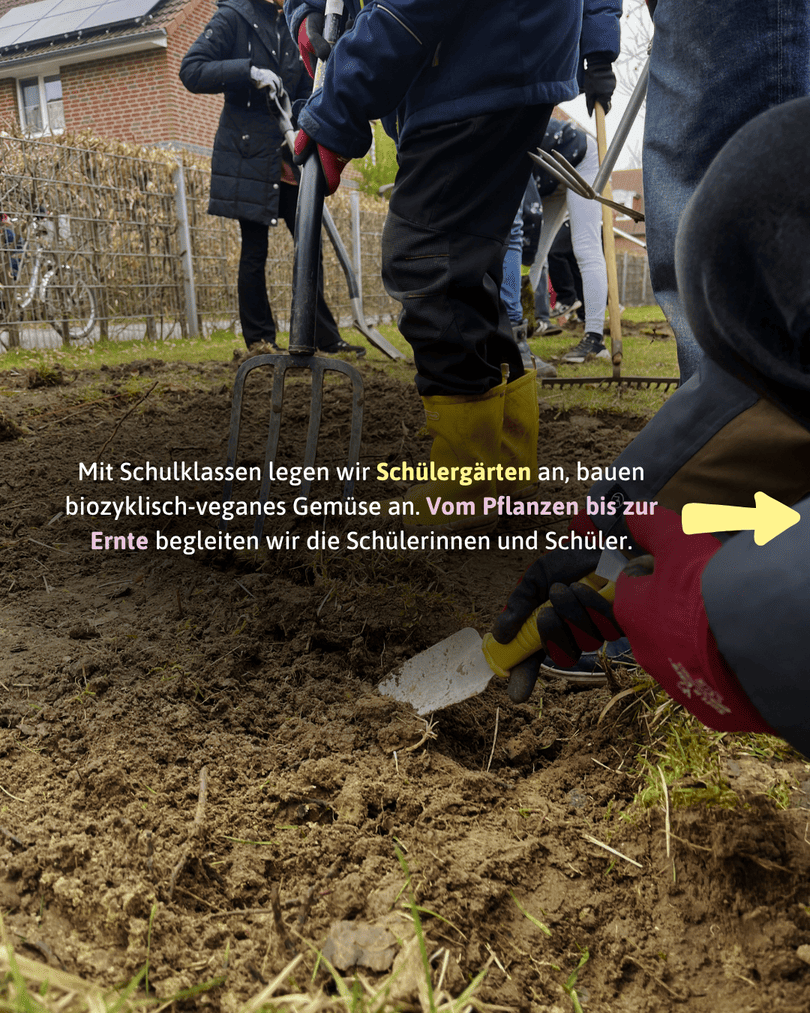 Nahaufnahme auf Beinhöhe: Schüler und Erwachsene bearbeiten gemeinsam mit Grabegabeln und kleinen Handschaufeln die dunkle Erde. Eine Person trägt auffällige gelbe Gummistiefel. Im Hintergrund sind Häuser und ein Zaun zu sehen. Ein gelber Pfeil zeigt nach rechts.