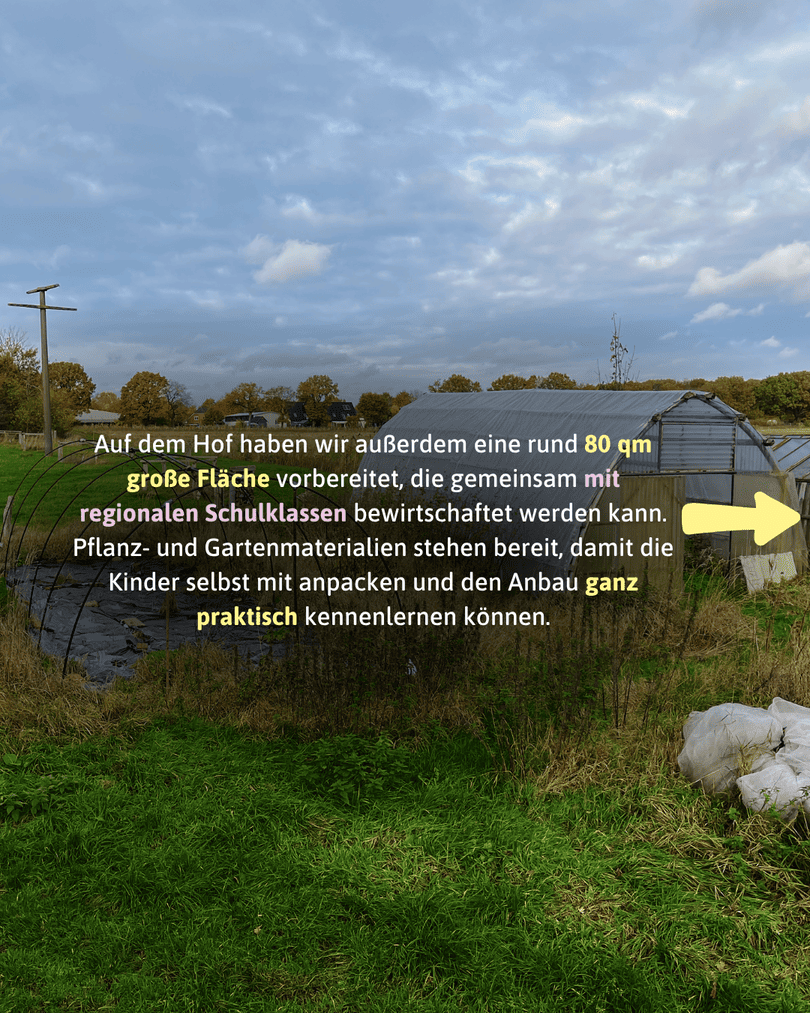 Blick über ein weites, teilweise wild bewachsenes Ackerfeld. Im Hintergrund steht ein leerer, alter Folientunnel und Strommasten unter einem bewölkten Himmel. Im Vordergrund liegt ein Haufen weißes Vlies. Ein gelber Pfeil zeigt nach rechts.