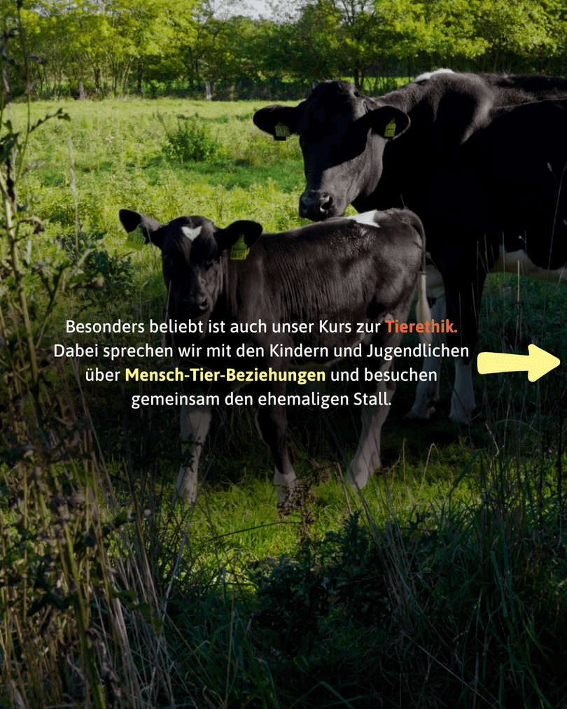 Zwei Schwarzbunte Kühe (Muttertier und Kalb) stehen auf einer satten, grünen Weide mit hohem Gras. Sie blicken in die Kamera. Der Hintergrund ist mit grünen Bäumen bewachsen. Ein gelber Pfeil zeigt nach rechts.