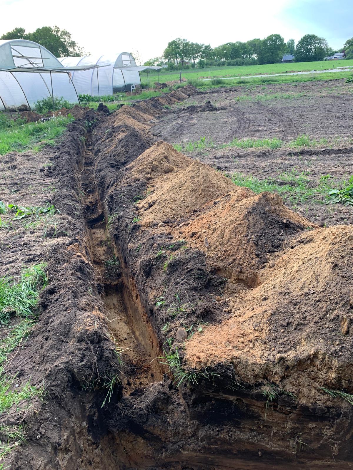 Ein langer, tief ausgehobener Graben zieht sich durch ein landwirtschaftliches Feld. Der aufgeschüttete Erdaushub bildet eine lange Reihe aus dunkler und sandfarbener Erde direkt neben dem Graben. Links im Hintergrund stehen zwei große Gewächshäuser (Folientunnel) auf einer Wiese, und in der Ferne ist eine Baumlinie unter einem hellen Himmel erkennbar.
